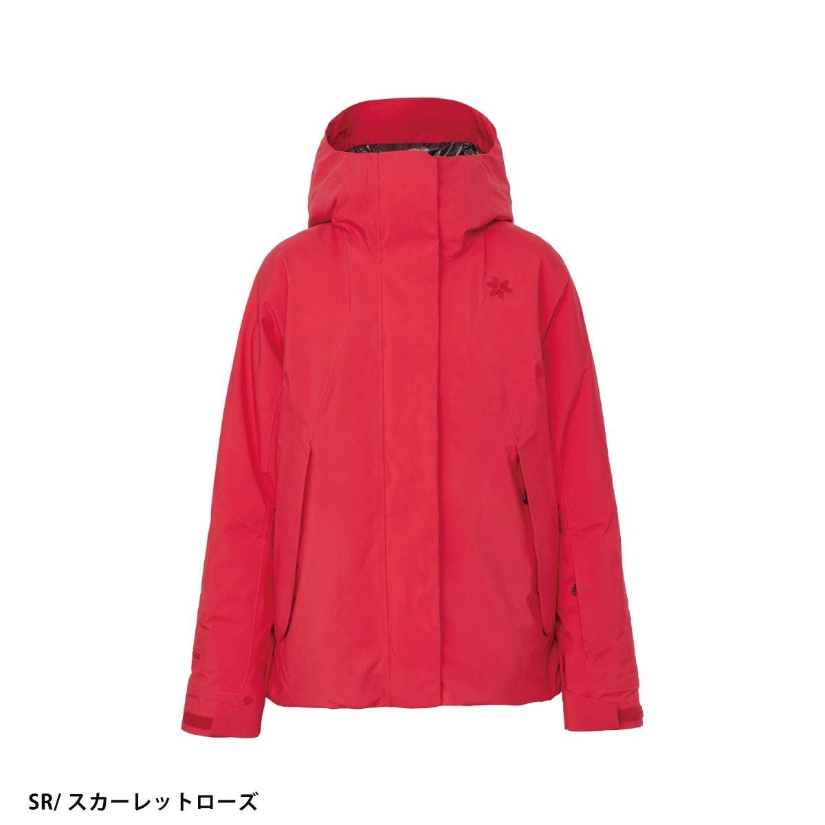 Goldwin GORE-TEX スキーウェア 女性用S GOLDWIN（ゴールドウイン） スキーウェア ゴールドウィン レディース
