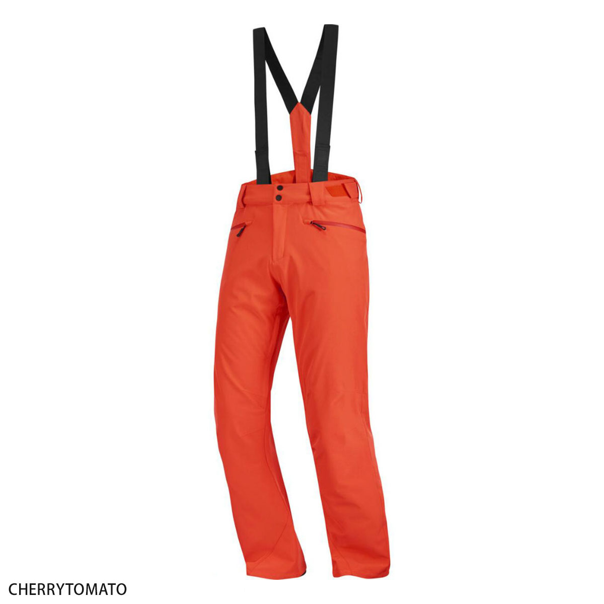 サロモン スキーパンツ m SALOMON（サロモン） スキーウェア スキーパンツ パンツ メンズ 2025