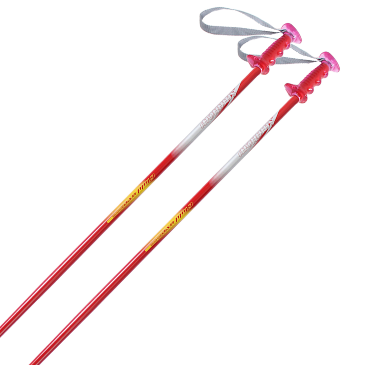 スワロー SWALLOW スキー ポール・ストック ジュニア キッズ＜2022