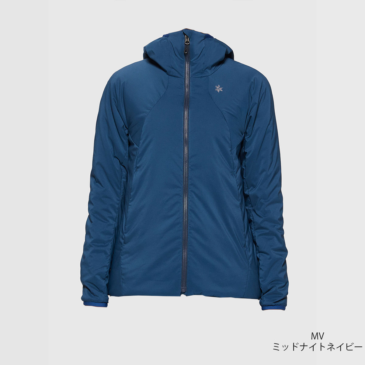 GOLDWIN（ゴールドウイン） 【エントリーでP最大17倍！27日〜】スキー