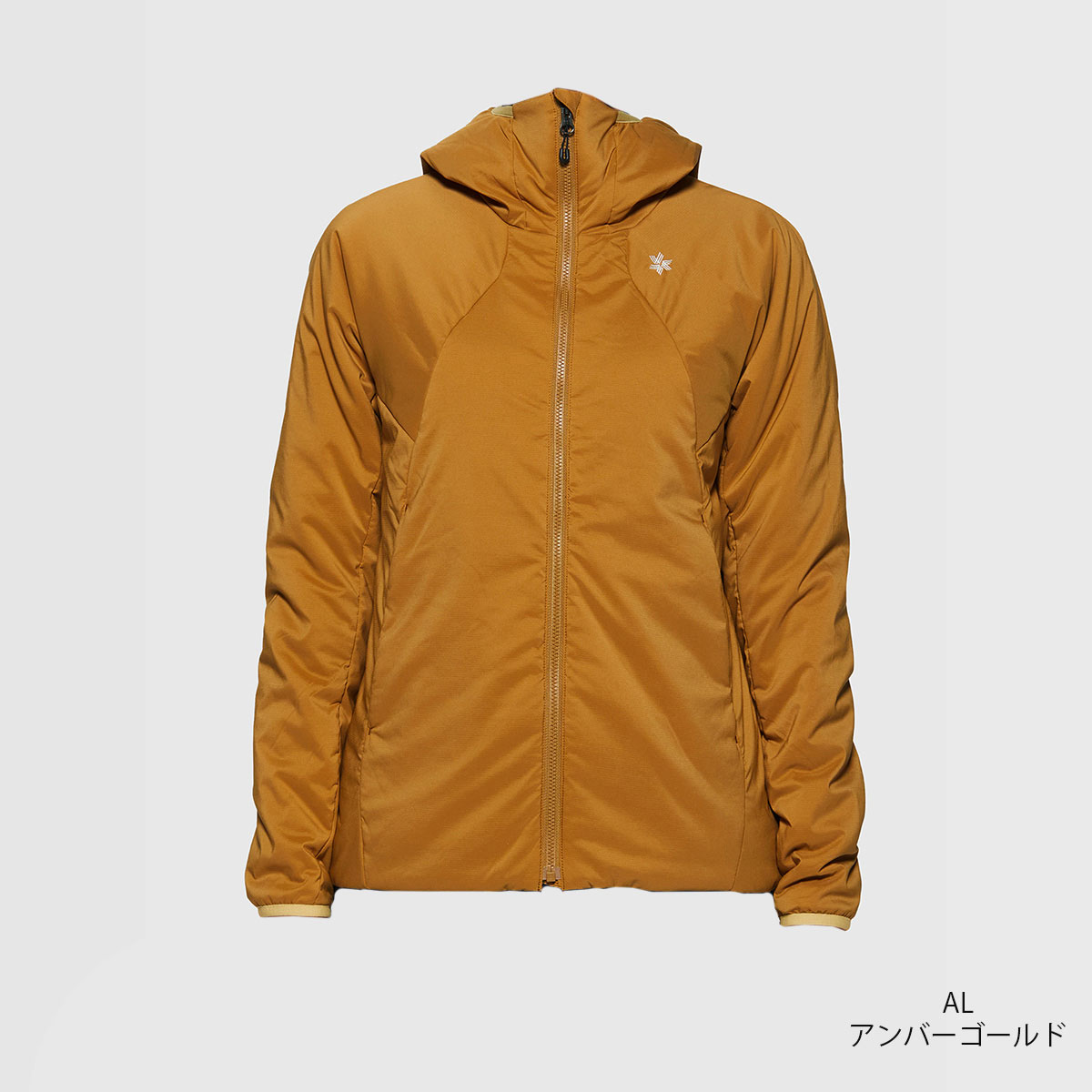 GOLDWIN（ゴールドウイン） 【エントリーでP最大17倍！27日〜】スキー