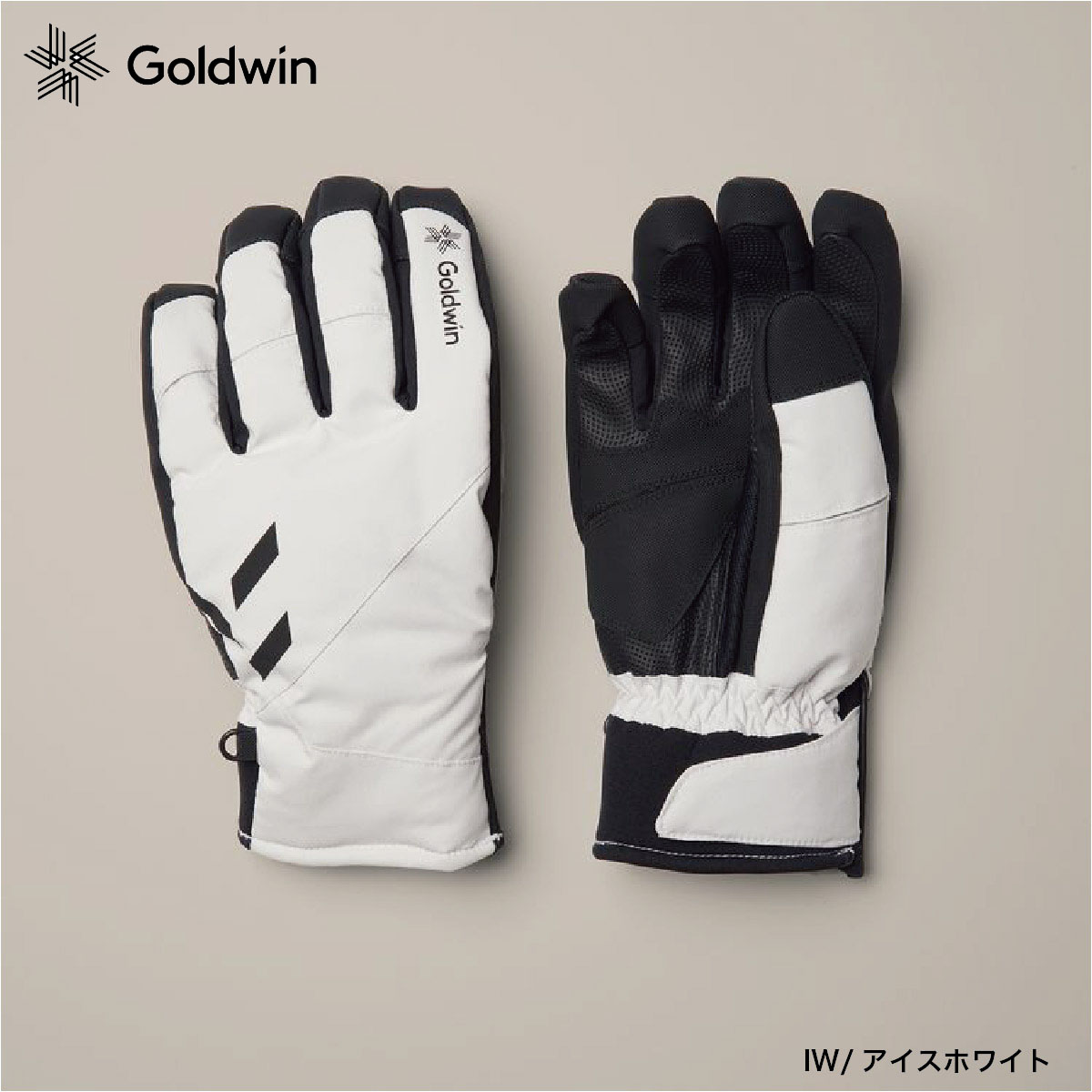 エントリでP10倍!19日〜 スキー グローブ メンズ レディース GOLDWIN ゴールドウイン ＜2023＞ G81305P / Multi  Ski Gloves