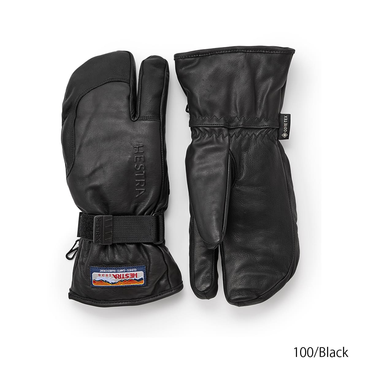 HESTRA（ヘストラ） 【P最大22倍！16日1時59まで】HESTRA スキー