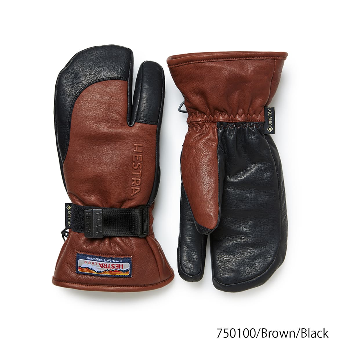 HESTRA（ヘストラ） 【エントリーでP最大17倍！19日〜】HESTRA スキー