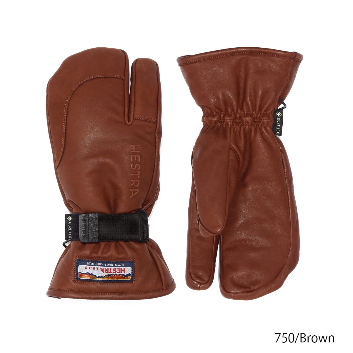 HESTRA（ヘストラ） 【エントリーでP最大17倍！19日〜】HESTRA スキー