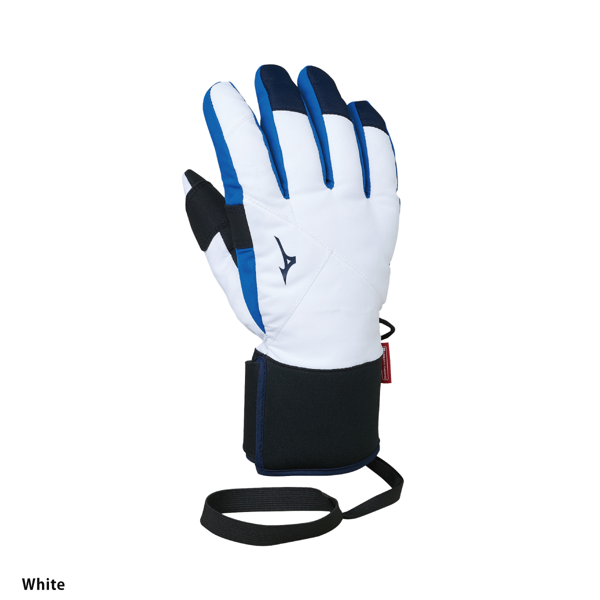 MIZUNO（ミズノ） スキーグローブ メンズ レディース＜2024＞Z2JYA507