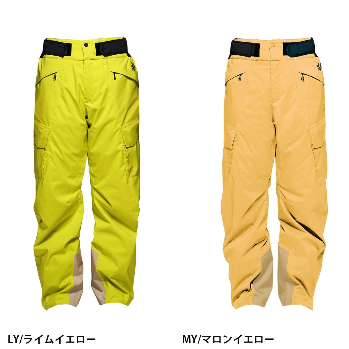 GOLDWIN（ゴールドウイン） 【エントリーでP最大17倍！19日〜】スキー