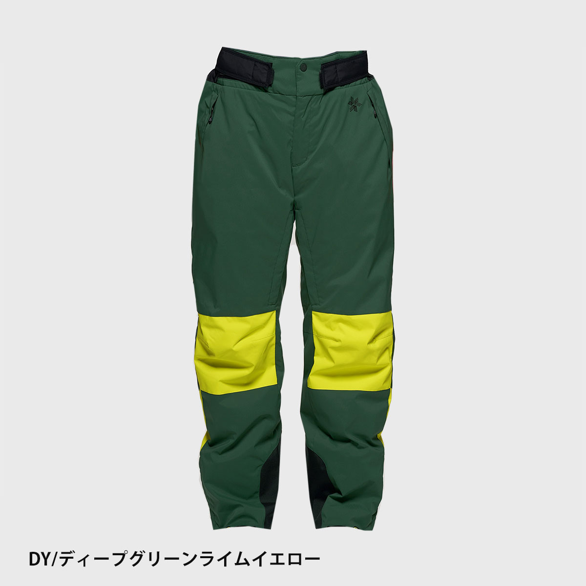 GOLDWIN（ゴールドウイン） スキーウェア スキーパンツ パンツ メンズ