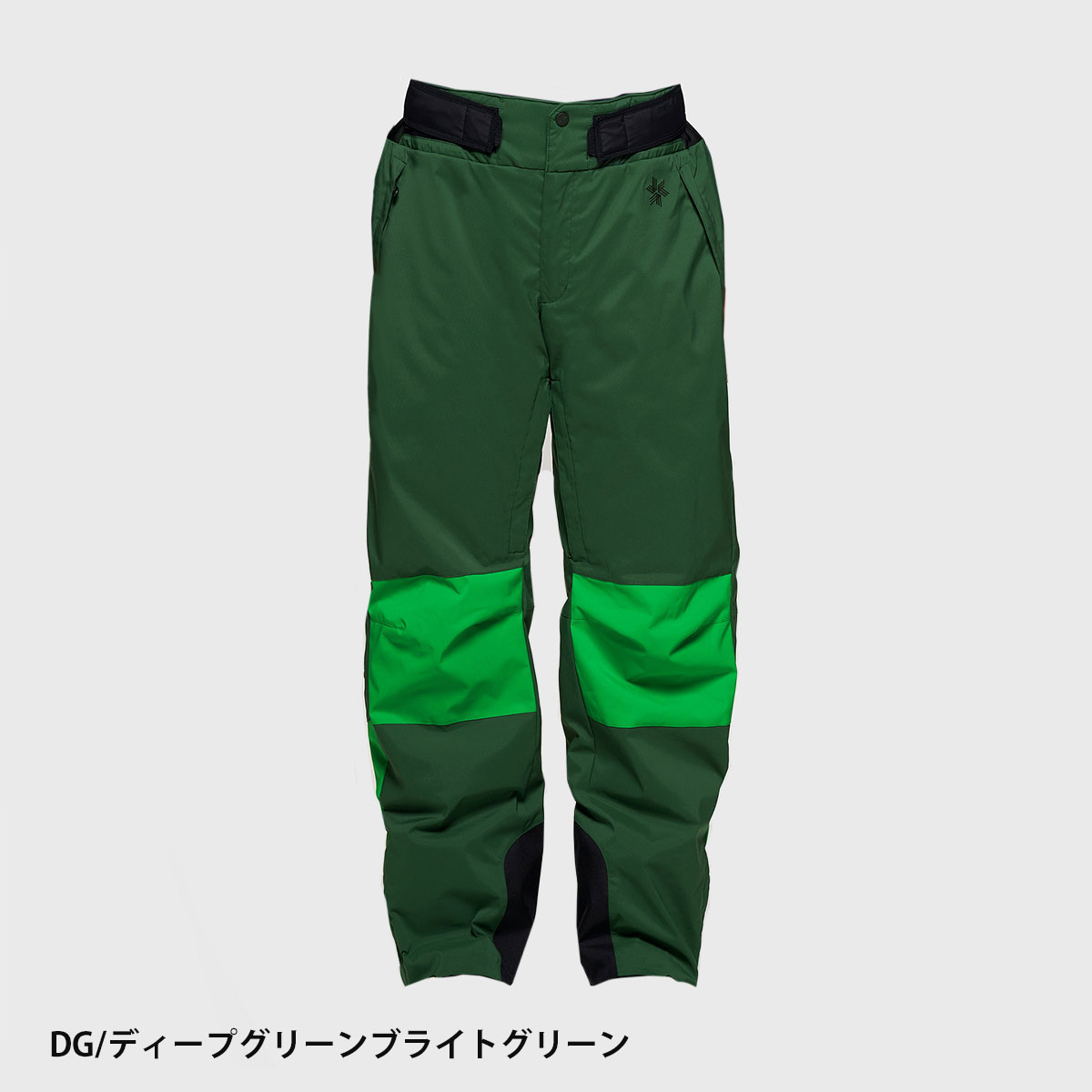 GOLDWIN（ゴールドウイン） スキーウェア スキーパンツ パンツ メンズ