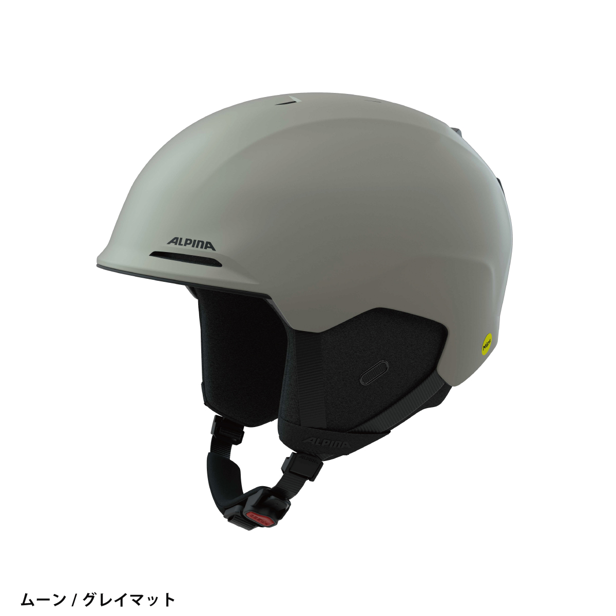 ALPINA（アルピナ） 【エントリーでP最大17倍！27日〜】ALPINA スキー