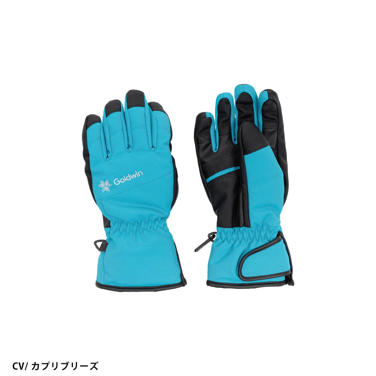 GOLDWIN（ゴールドウイン） 【22日限定！全品P10倍！】GOLDWIN スキー