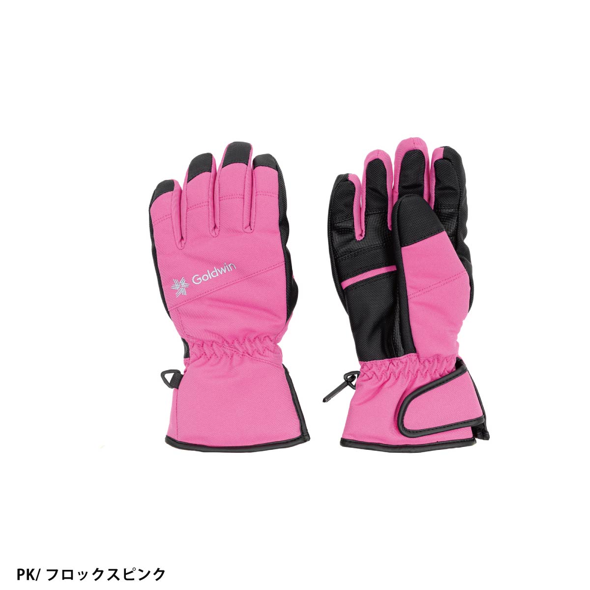 GOLDWIN（ゴールドウイン） 【22日限定！全品P10倍！】GOLDWIN スキー