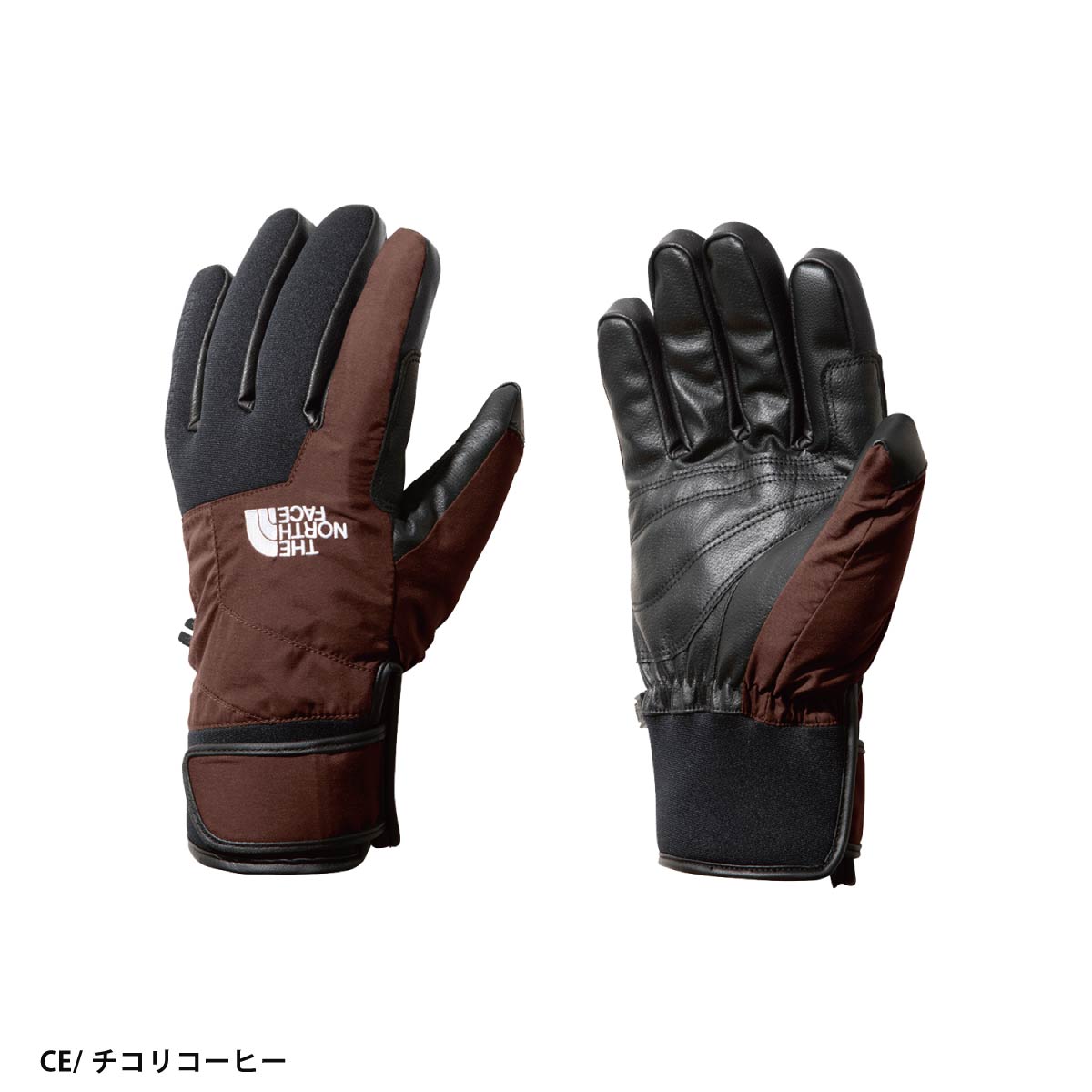 THE NORTH FACE（ザ ノースフェイス） スキー グローブ メンズ