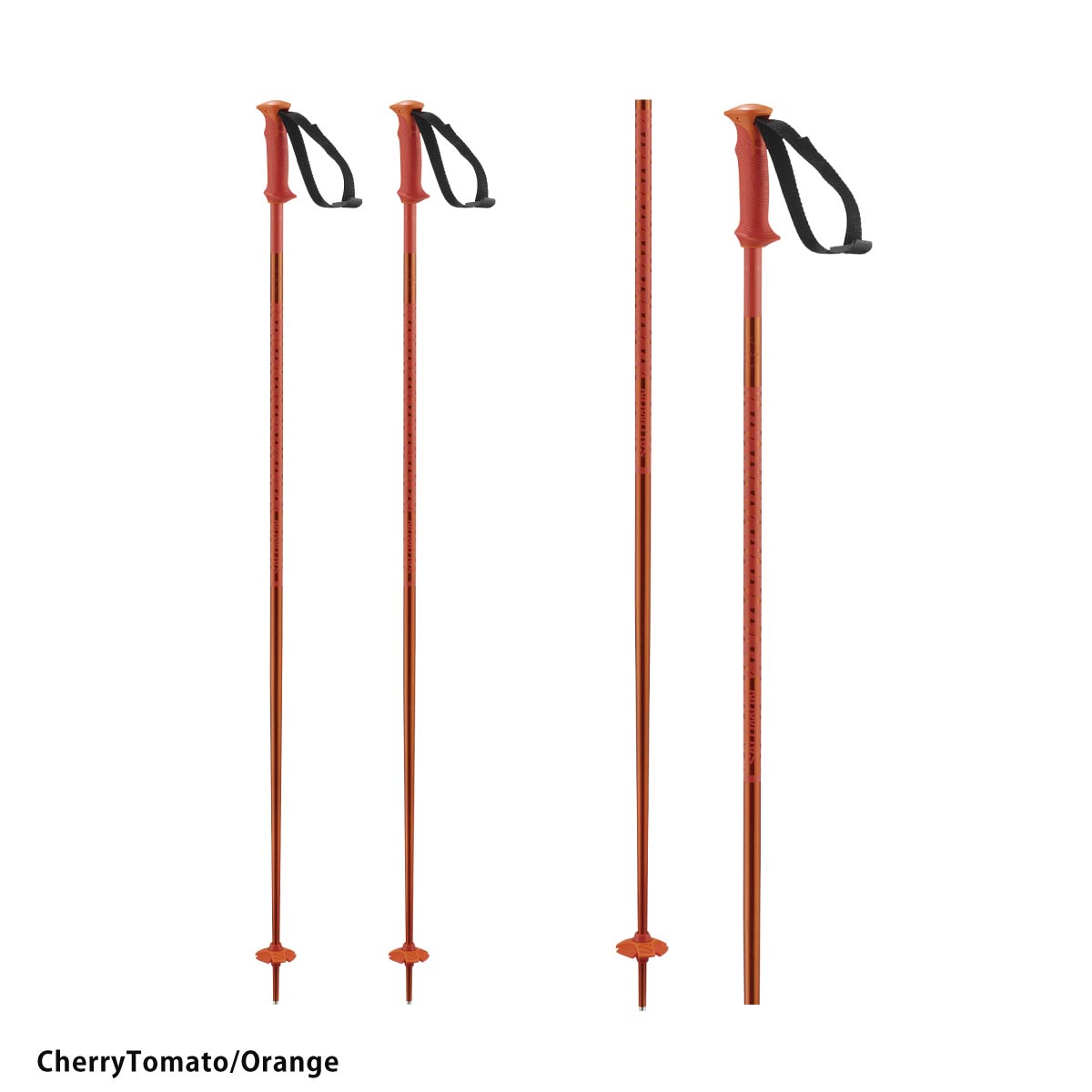 SALOMON（サロモン） 【25日限定！全品P10倍！】SALOMON スキー ポール