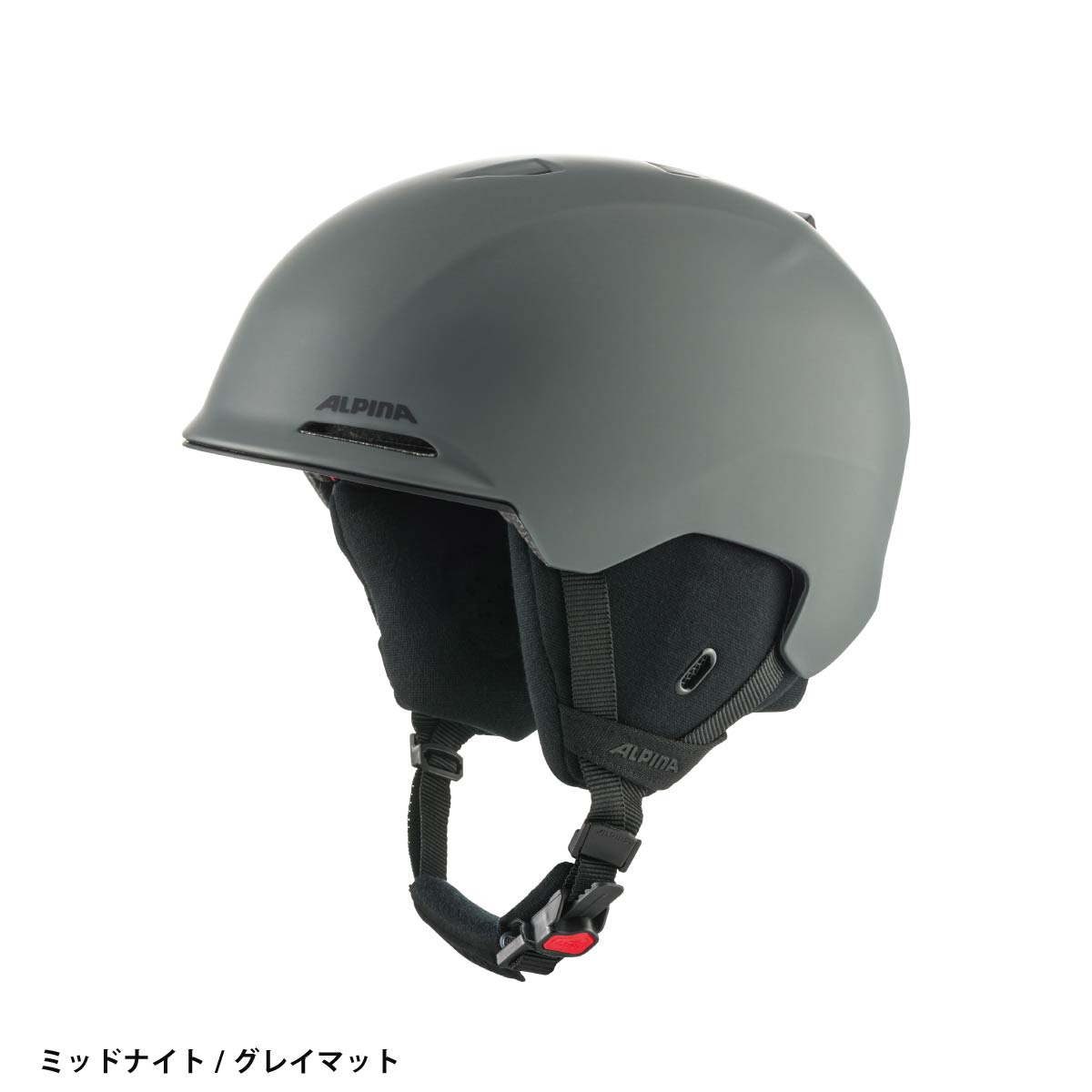 ALPINA（アルピナ） 【エントリーでP最大17倍！19日〜】ALPINA スキー