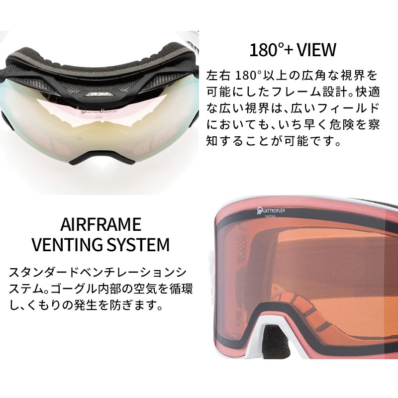 ALPINA（スポーツ） スキーゴーグル アルピナ ゴーグル ALPINA