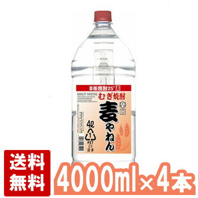 【送料無料】麦やねん 25度 4000ml×4本セット(1ケース) ペット 麦焼酎 大容量 4L 寿海酒造 宮崎県