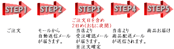 ご注文日を含め2日め(おもに夜間) 「正式受注確認メール」を返信しております。ヤフーPCではなく、当店から直接さしあげるメールです。