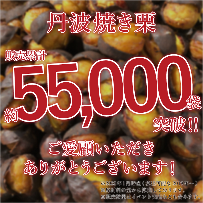 丹波焼き栗 丹波栗 和菓子 栗スイーツ 230g×2袋 お得セット 無添加 無 