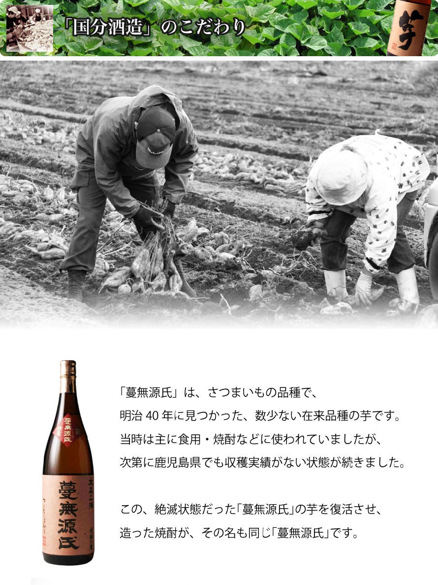 国分酒造