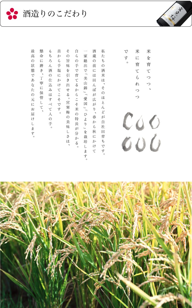 宮寒梅