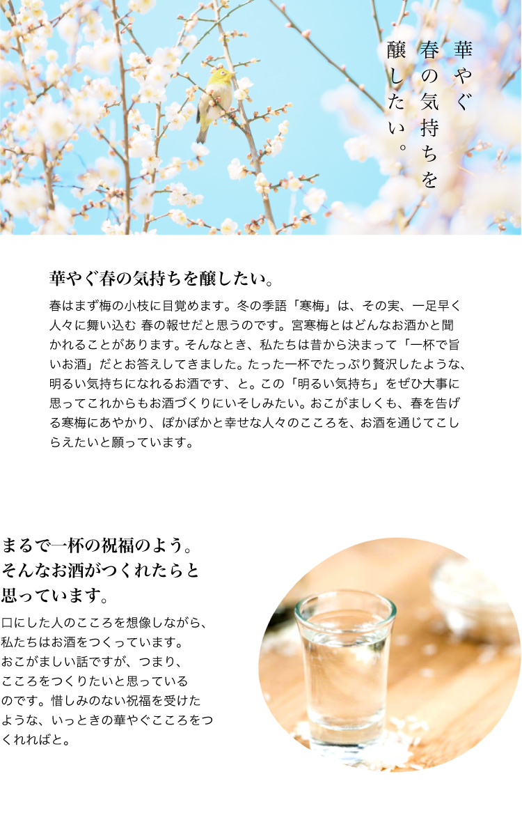 宮寒梅