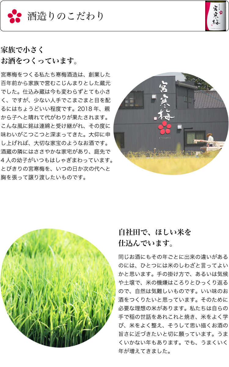 宮寒梅