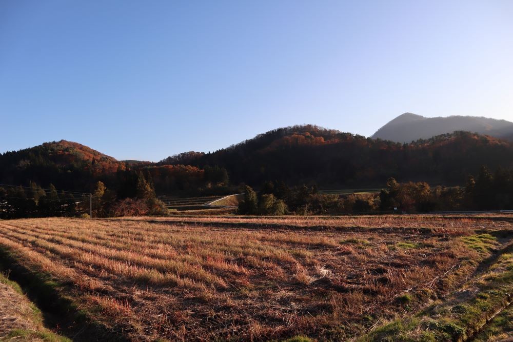 山形正宗