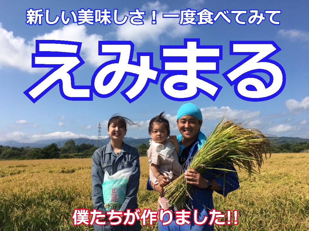 北海道 えみまる】1.5kg 令和6年 新米 田んぼや神田ファーム 農家直送 一升枡大盛り米 : isshoumasu-emimaru : 田んぼや神田 ファーム - 通販 - Yahoo!ショッピング