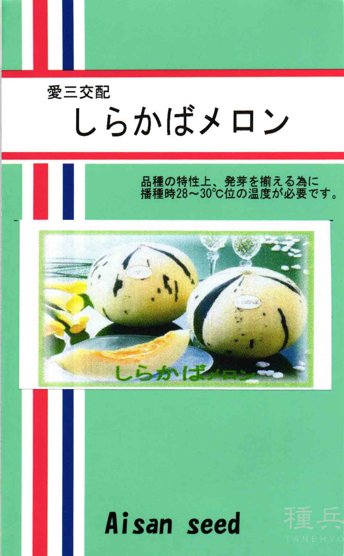 白肉ノーネットメロン 種 『しらかばメロン』 愛三種苗/100粒 : 種兵