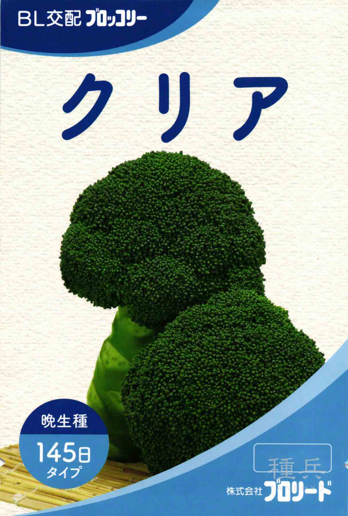 【ラスト1個】ブロッコリー種子（BL-456）5000粒 晩生ブロッコリー 種 『クリア』 ブロリード/Lコート5000粒 : 種兵