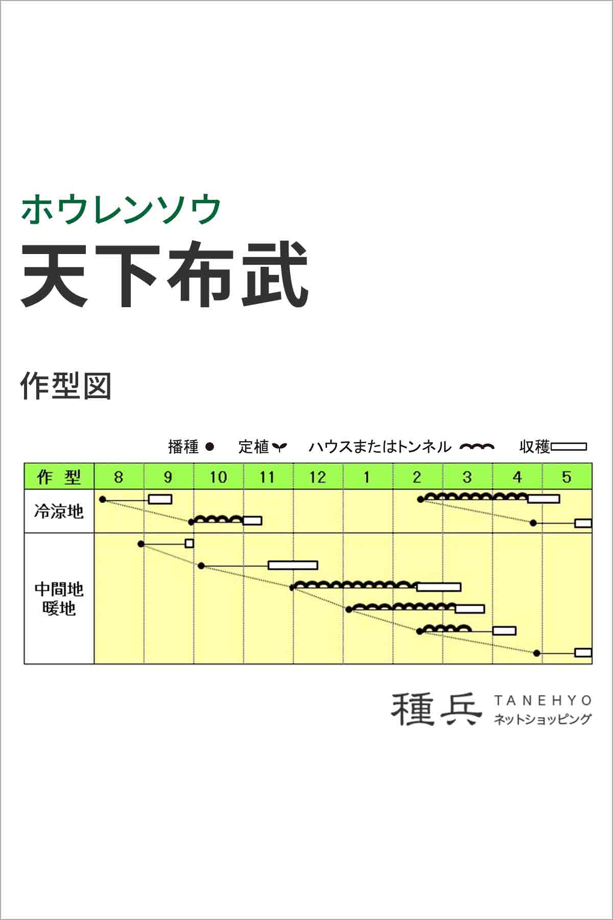ホウレンソウ 種 『天下布武』 小林種苗/L1リットル : 種兵ネット 