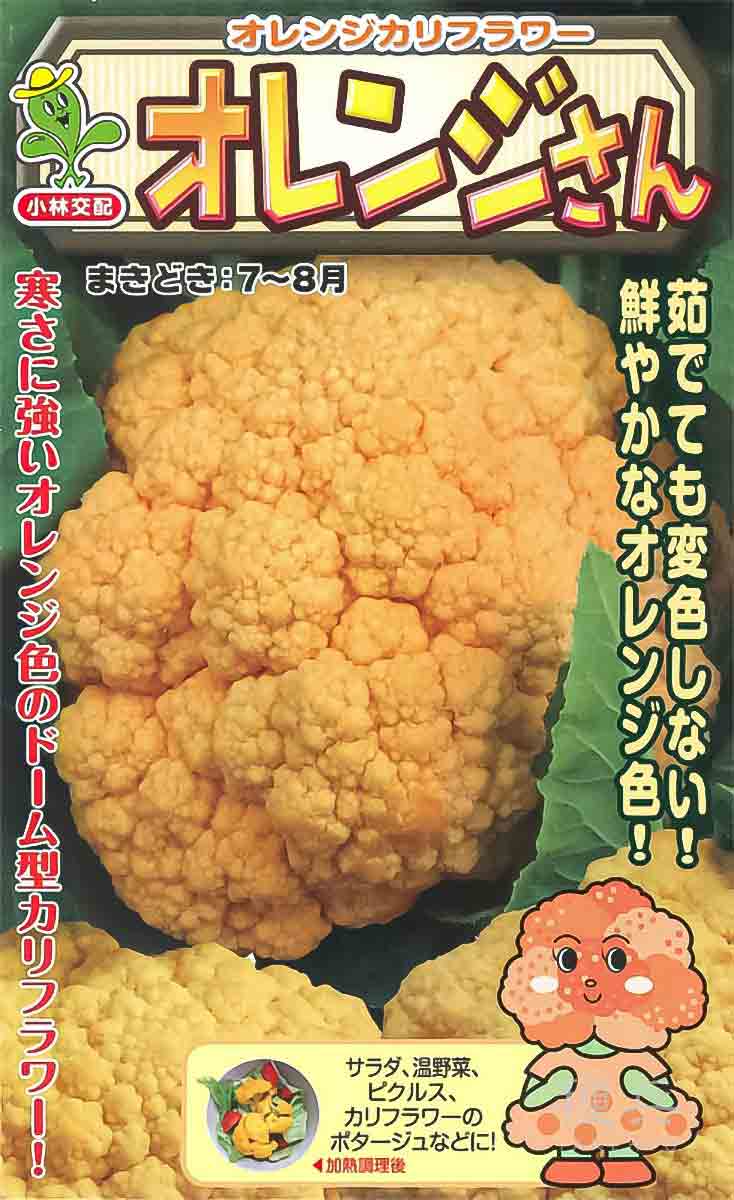 オレンジカリフラワー 種 『オレンジさん』 小林種苗/1000粒