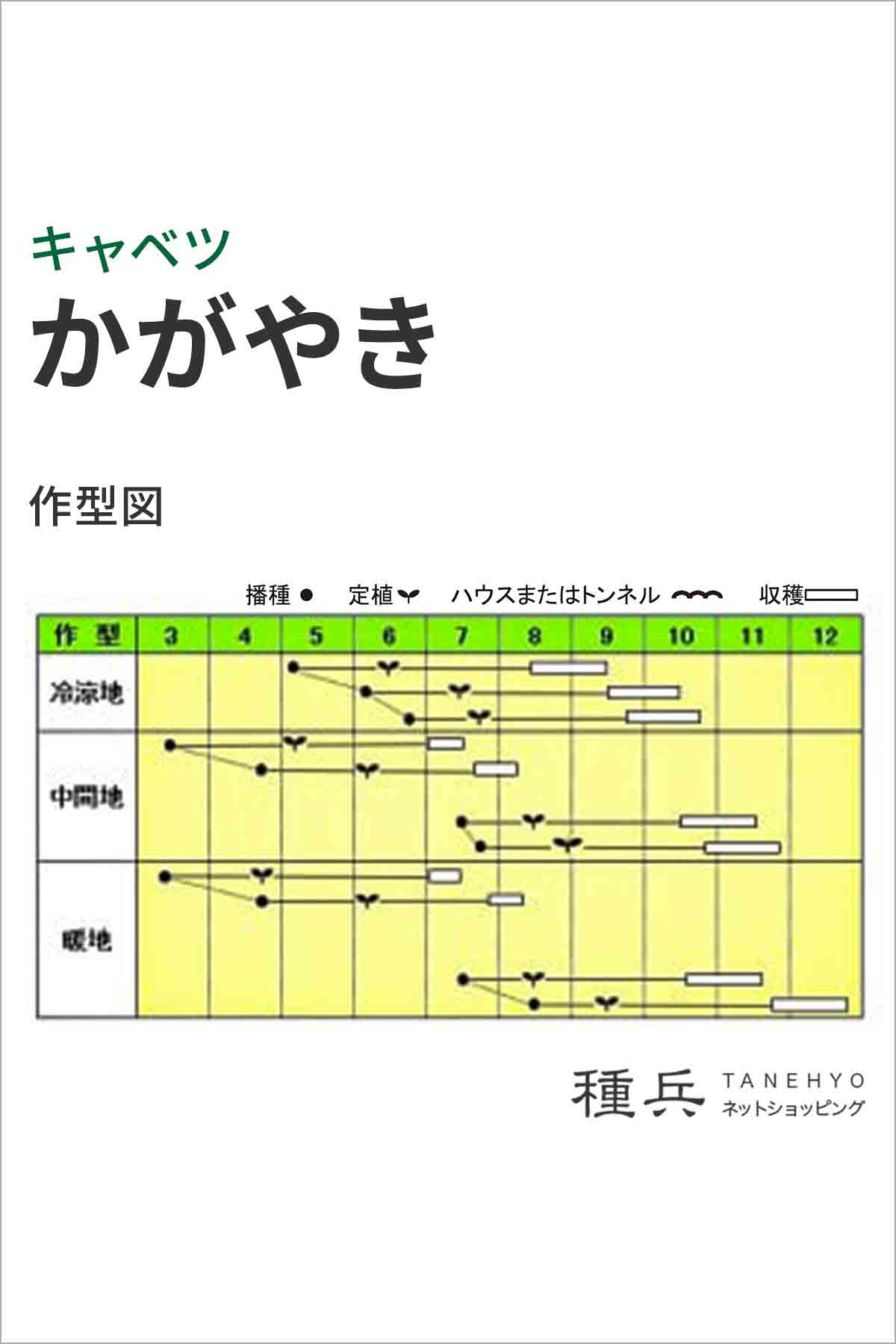 ケヤキ葉、柿の葉等、数種の葉他ご注文セット＊コエポン様ご依頼品＊ 葉と枝による樹木検索図鑑－葉の解説－ケヤキ
