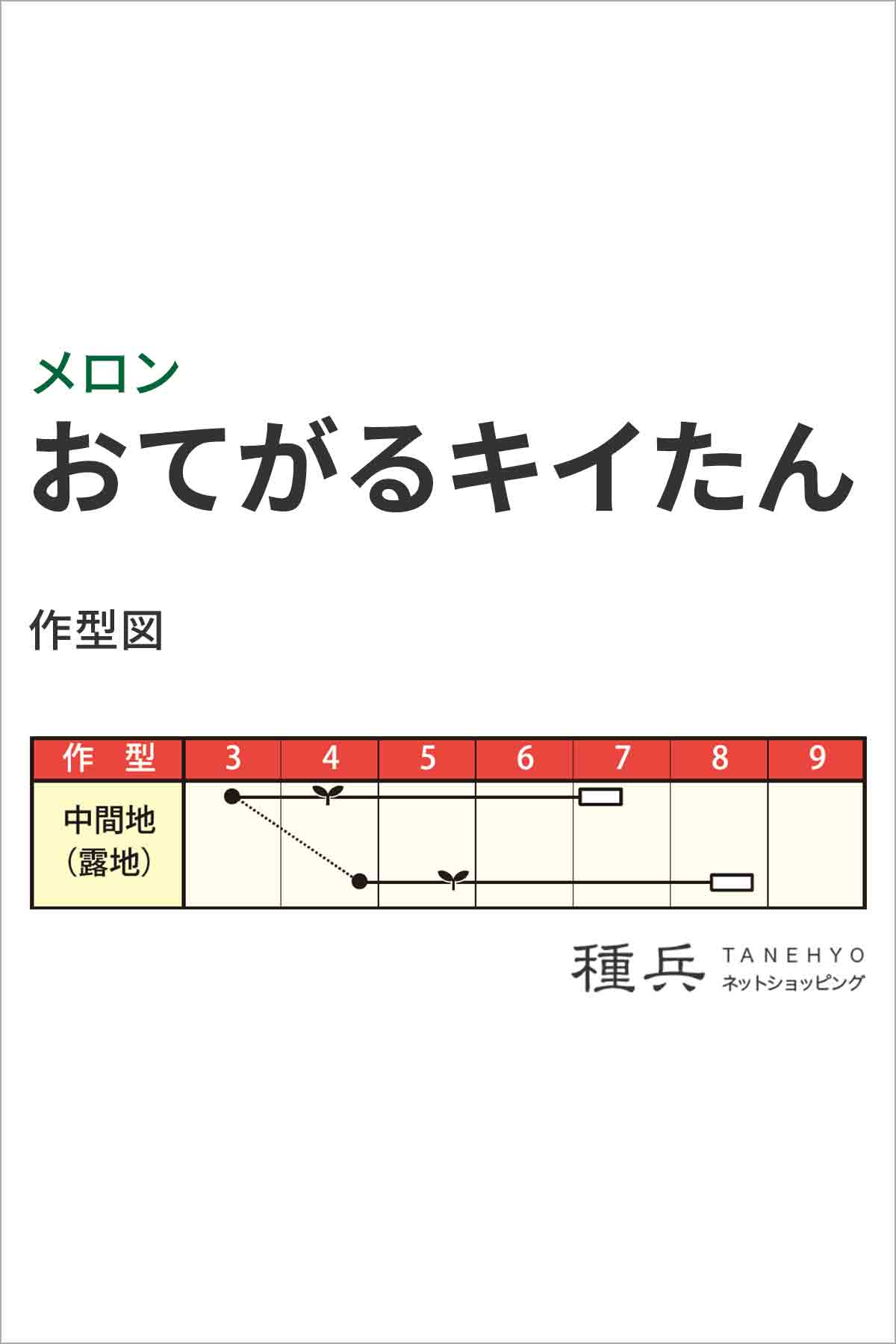 黄皮赤肉ノーネットメロン 種 『おてがるキイた...の詳細画像1