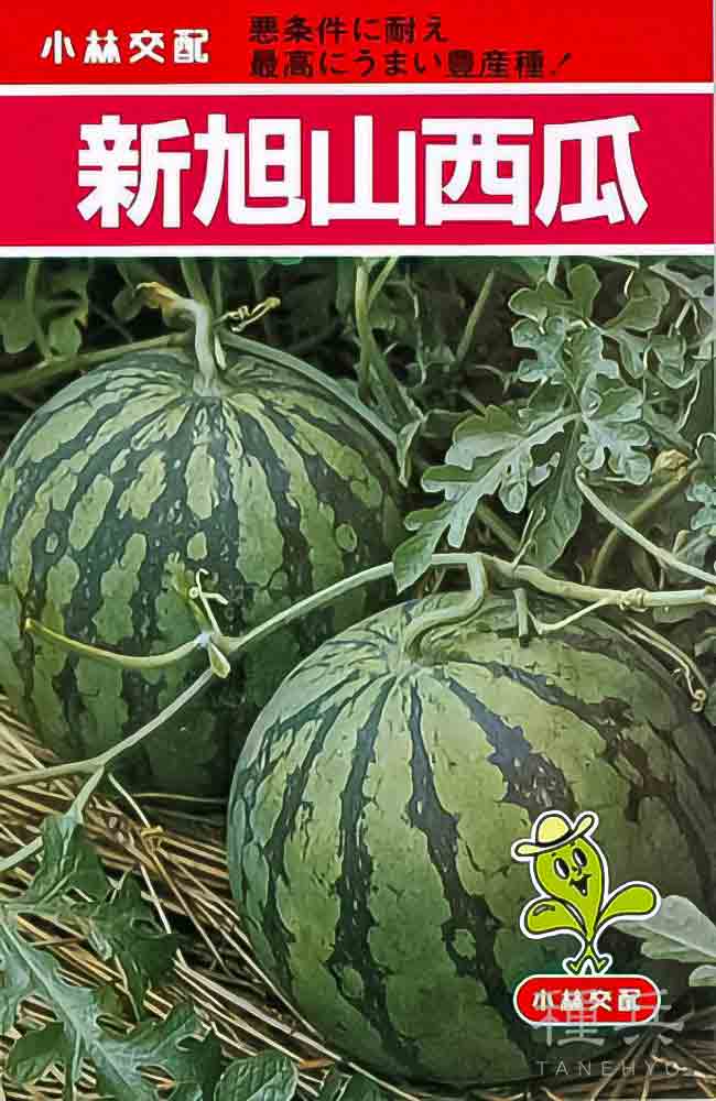 赤肉スイカ 種 『新旭山西瓜』 小林種苗/小袋 : 種兵ネット