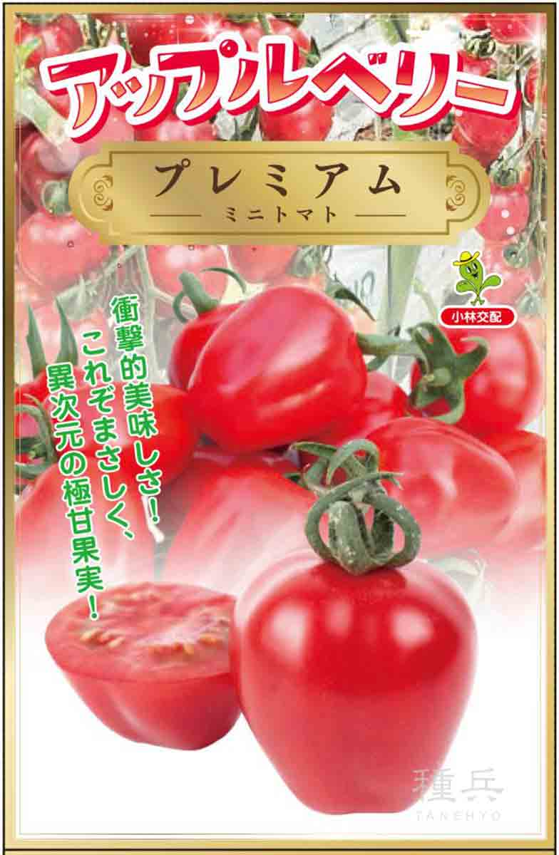 早生タマネギ 種 『ジェットスター』 ナント種苗/100g : 種兵ネット