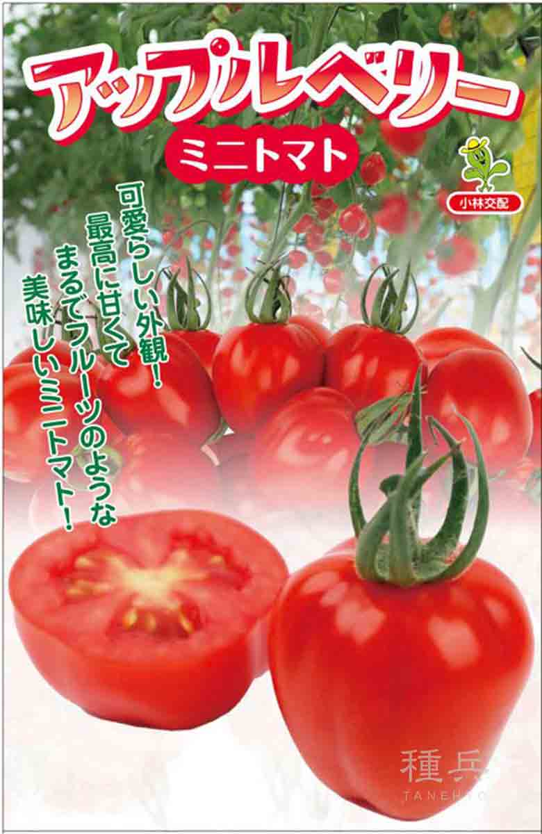 超極早生タマネギ 種 『浜笑』 カネコ種苗/ペレット5000粒 : 種兵