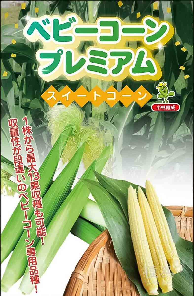 ヤングコーン 種 『ベビーコーンプレミアム』 小林種苗/2000粒 : 種兵