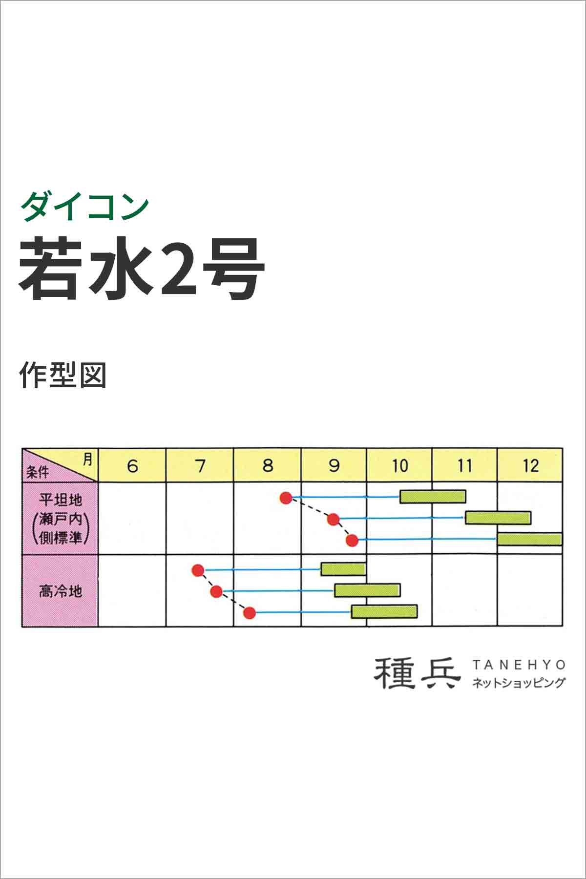ダイコン 種 『若水2号』 小林種苗/小袋 : 種兵ネットショッピング - 通販 - Yahoo!ショッピング