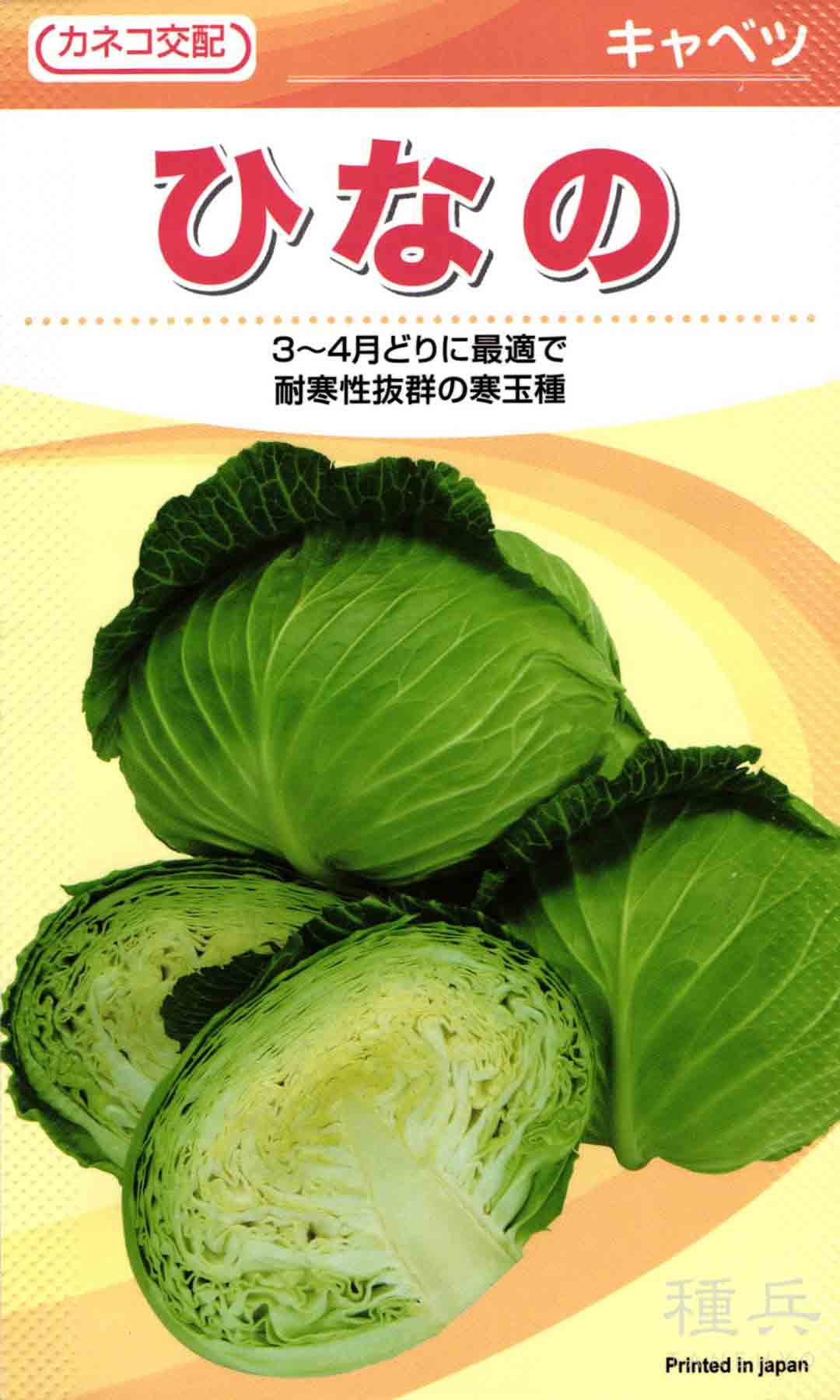 晩生キャベツ 種 『ひなの』  カネコ種苗/2500粒