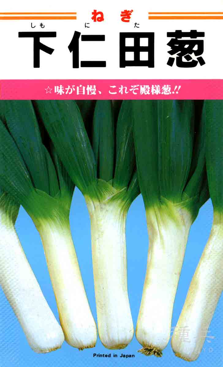 根深ネギ 種 『下仁田葱』 カネコ種苗/小袋 : 種兵ネットショッピング