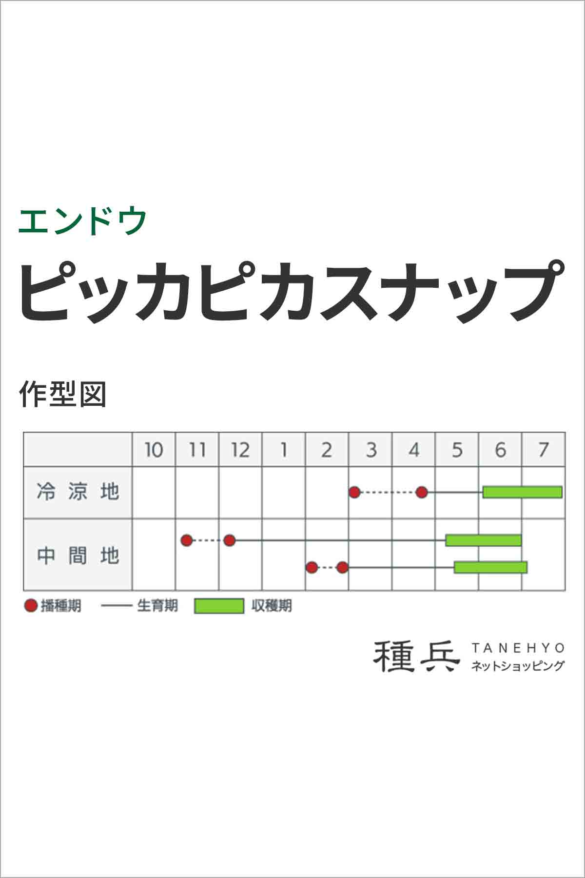 スナップエンドウ 種 『ピッカピカスナップ』 ...の詳細画像1