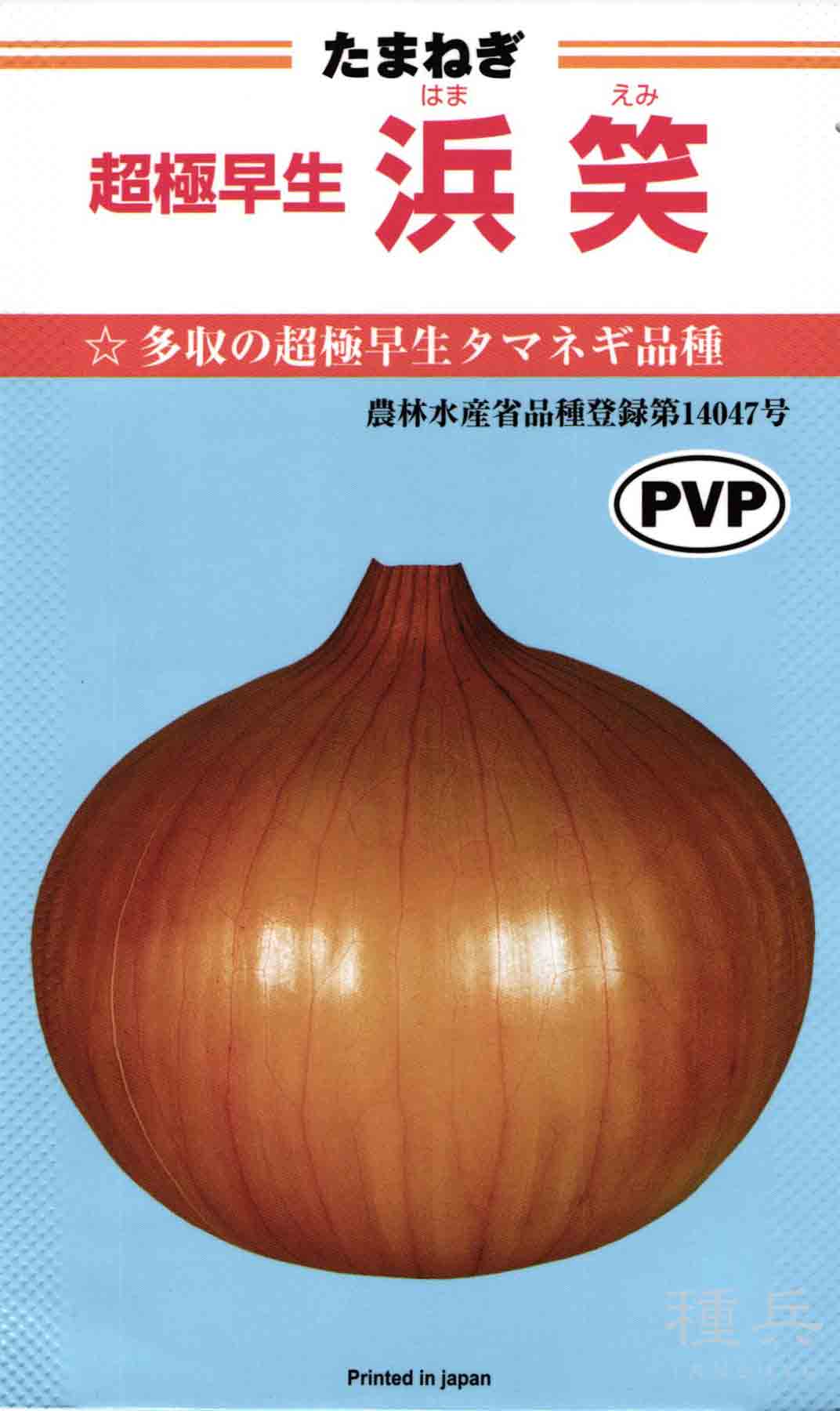 超極早生タマネギ 種 『浜笑』 カネコ種苗/ペレット5000粒 : 種兵