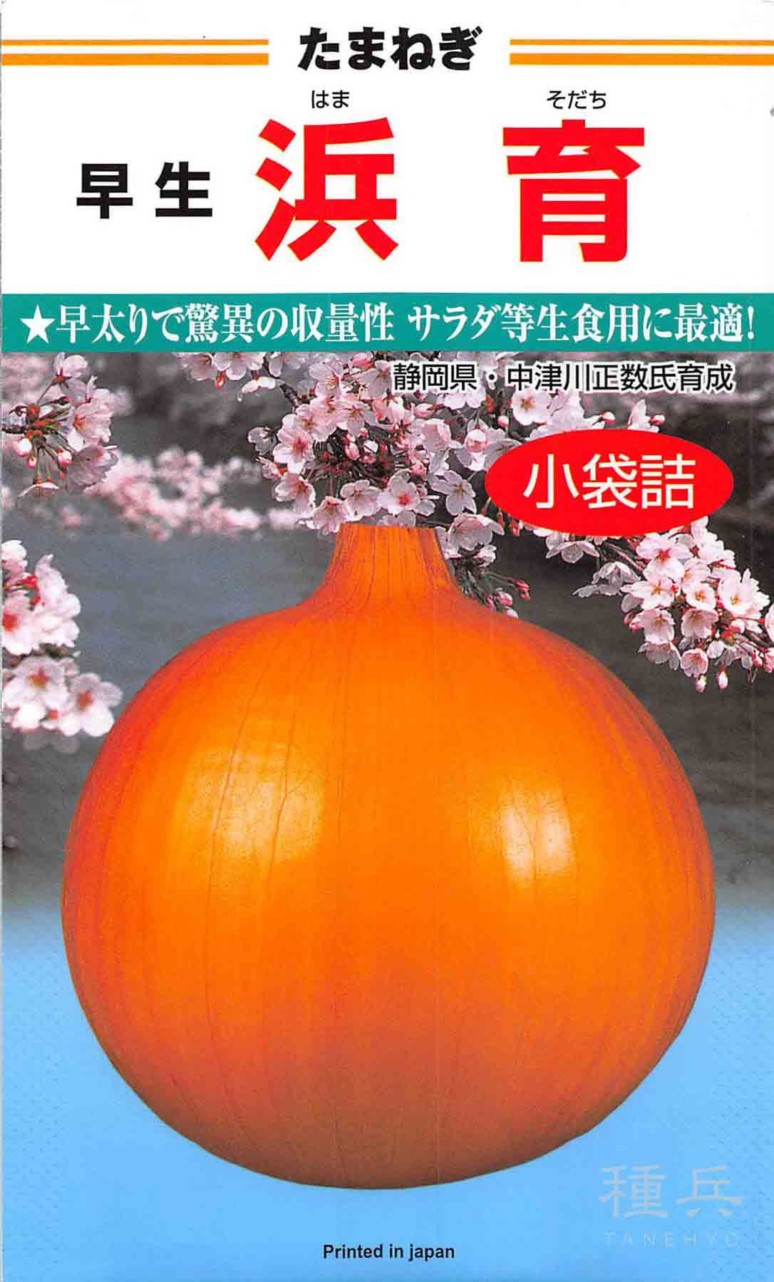 早生タマネギ 種 『ジェットスター』 ナント種苗/小袋 : 種兵