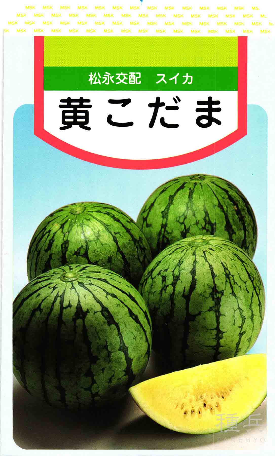 小玉スイカ 種 『黄こだま西瓜』 松永種苗/小袋 : 種兵ネット