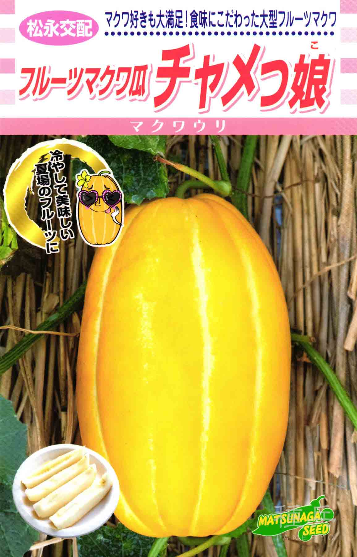 寒玉キャベツ 種 『冬魂（N-243）』 野崎採種場/2500粒 : 種兵ネット