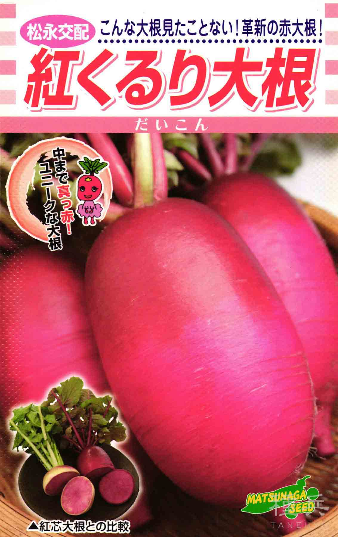 ブロッコリー 種 『アーリーキャノン』 サカタのタネ/ペレット 5000粒