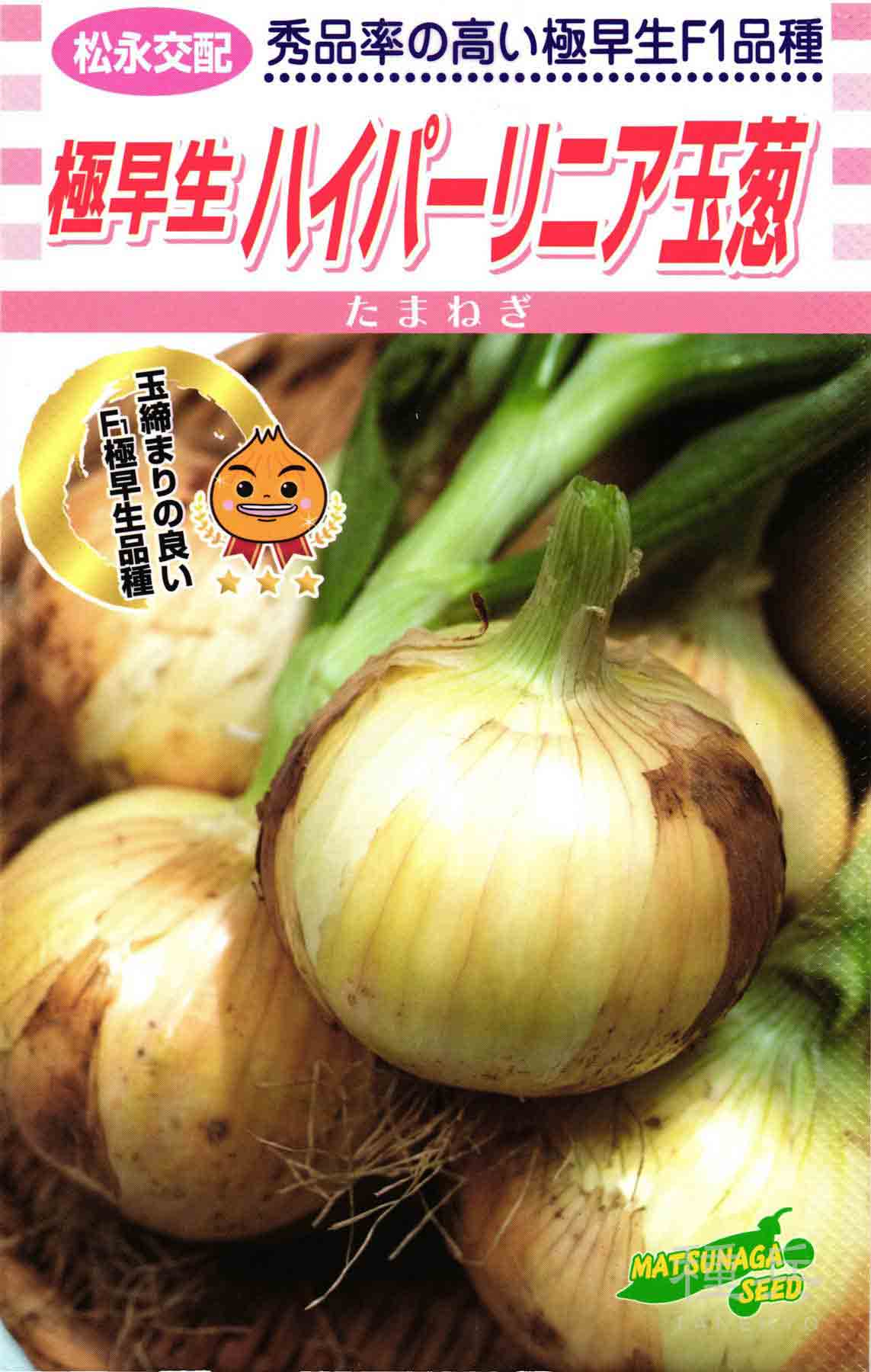 極早生タマネギ 種 『ハイパーリニア玉葱』 松永種苗/20ml : 種兵