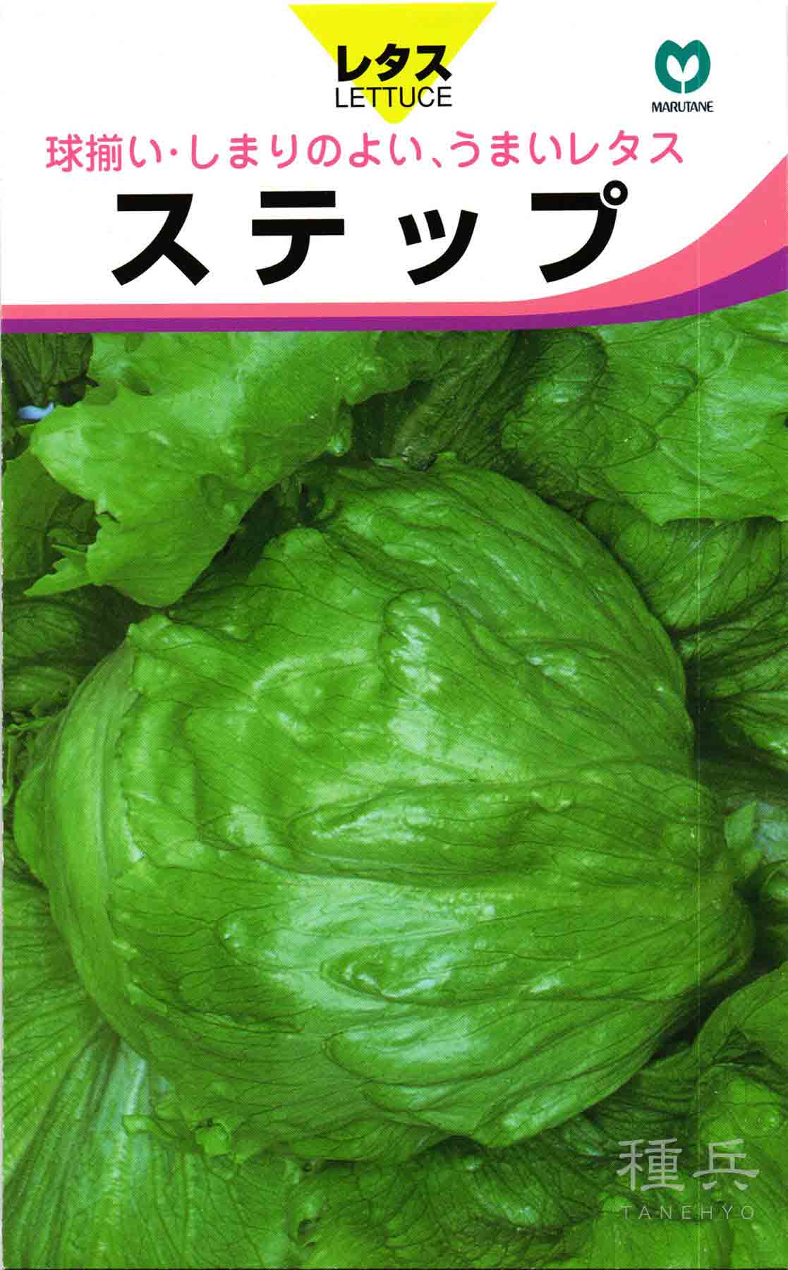 Yahoo! Yahoo!ショッピング(ヤフー ショッピング)玉レタス 種 『ステップ』  丸種/小袋